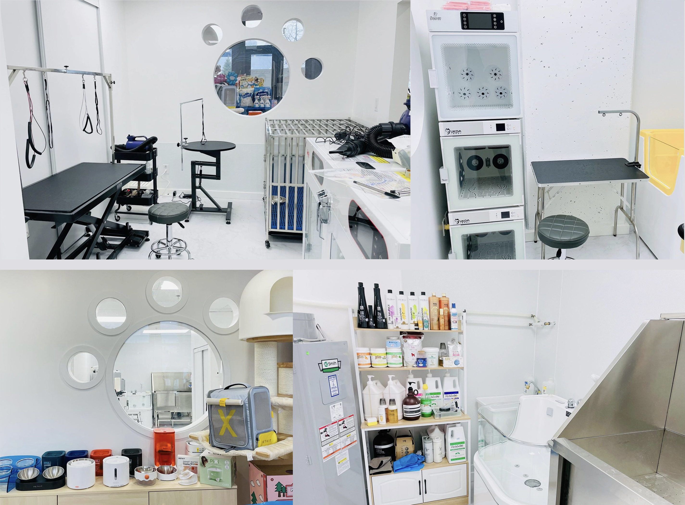 多倫多寶藏寵物品牌，毛小孩の鋪?zhàn)拥母咚僭鲩L之路