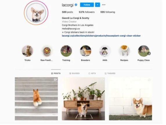 運營干貨 | 6個月內(nèi)，Instagram粉絲數(shù)如何從0漲到1萬？