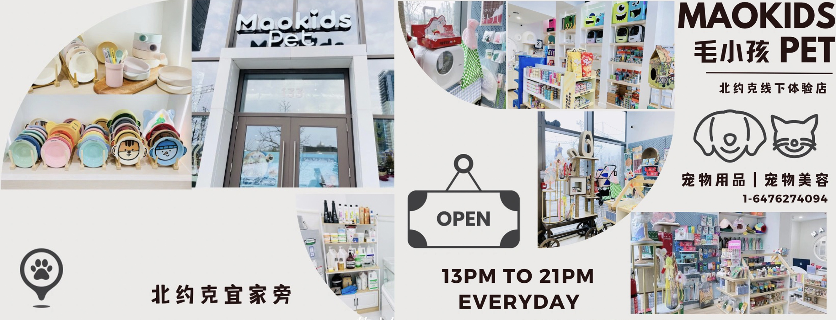 多倫多寶藏寵物品牌，毛小孩の鋪?zhàn)拥母咚僭鲩L之路